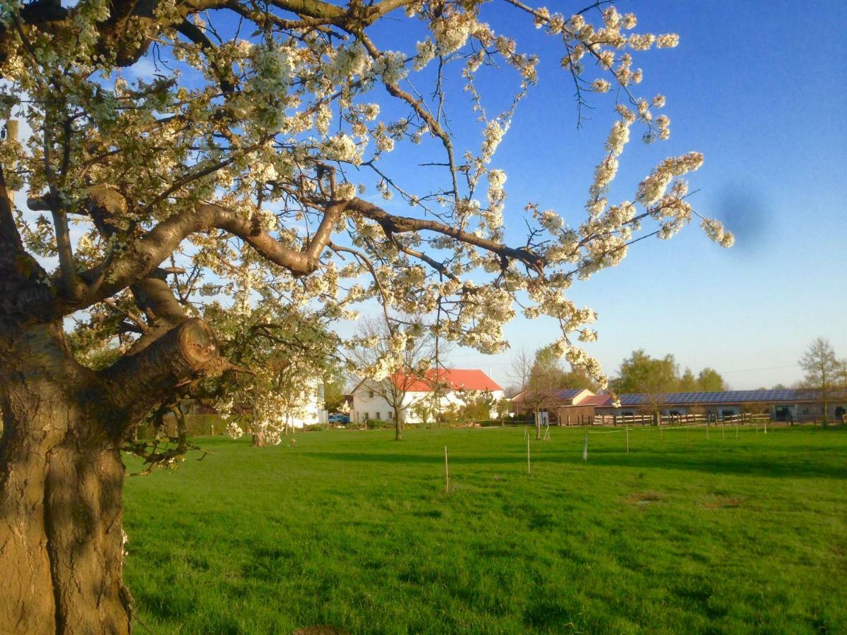 Ferienwohnung Zweinig 01 Экстерьер фото